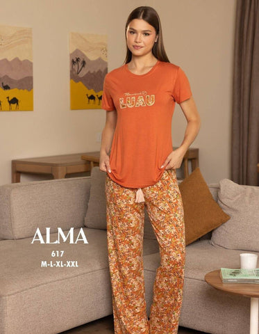 Alma 617