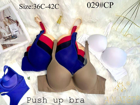 Bra 029